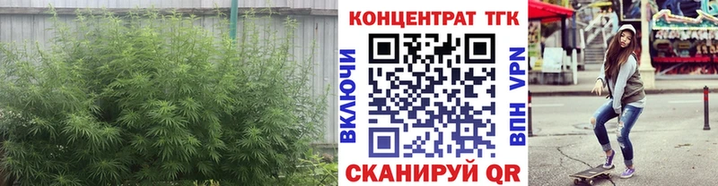 darknet телеграм Калининец Дистиллят ТГК Wax